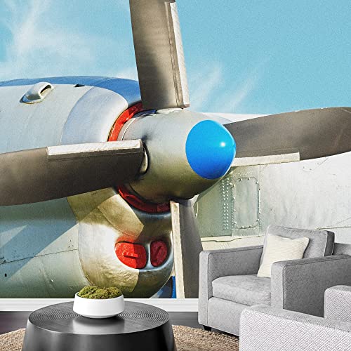 C49-2206-eva08