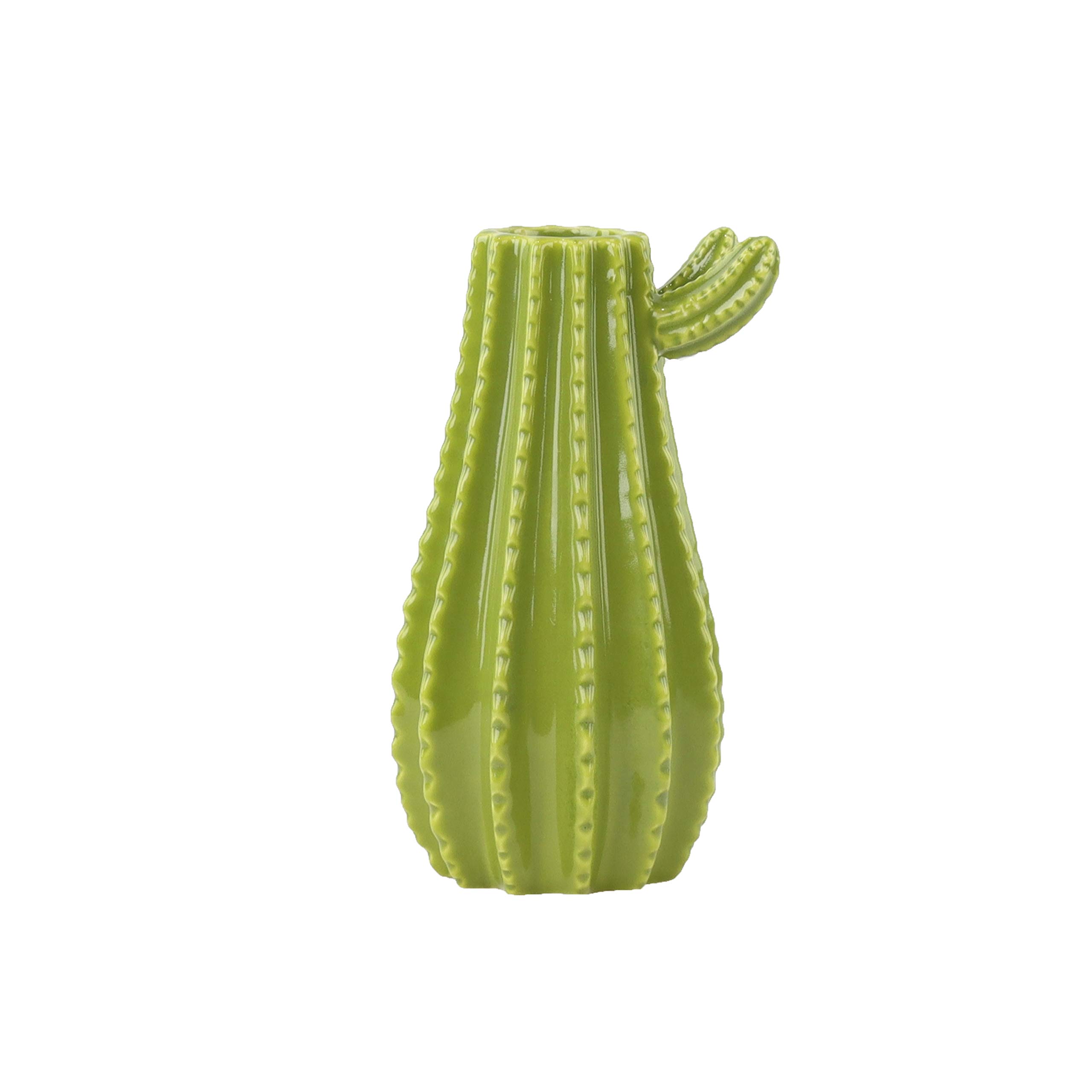 Green Cactus Vase - Home Decor for Desert & Boho Style