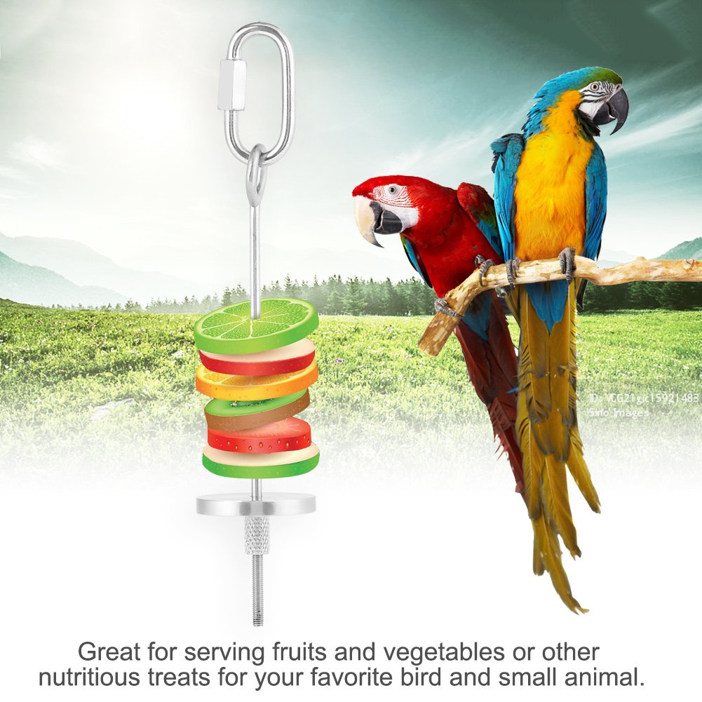 Stainless Steel Parrot Fruit Holder - Bird & Small Animal Foraging Toy with Skewer for Treats, Vegetables - Perfect for Parrot Cages, Aviaries & Small Pet Enrichment