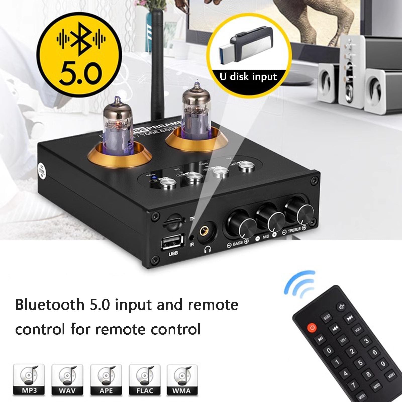 2 Channel Class D Digital Mini Hi-Fi Tube Amplifier with Bluetooth 5.0 & Remote Control - Compact Power Amp for Headphones & Home Audio Systems | Perfect for Living Room, Bedroom & Office Music Listening