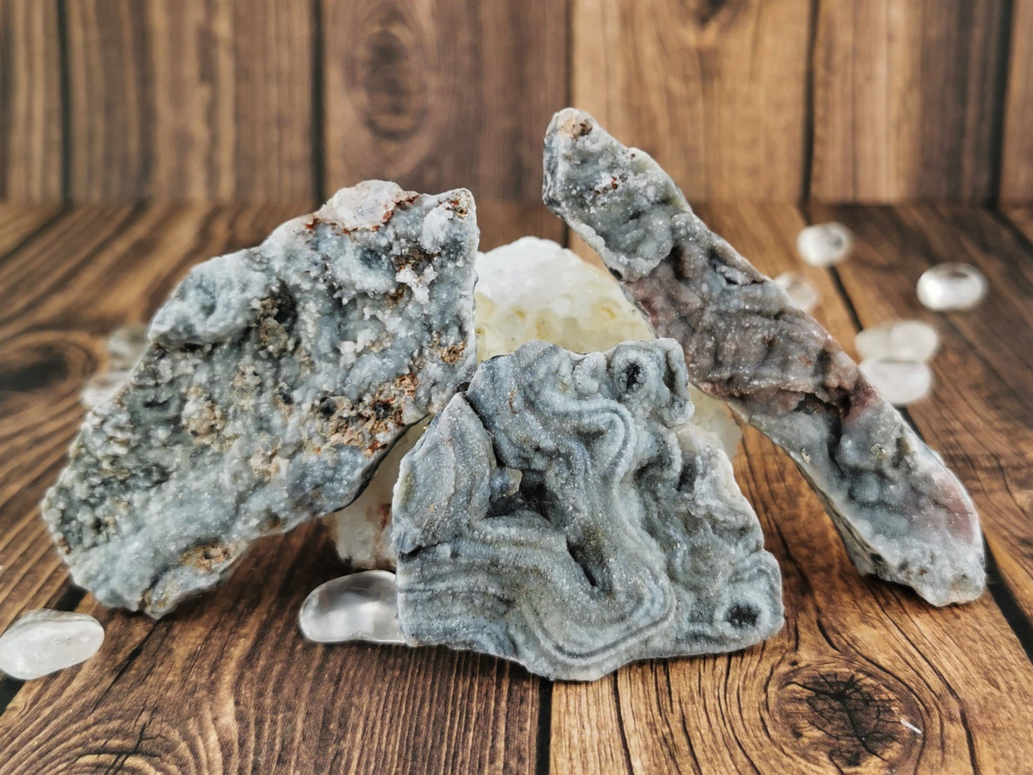 Natural Chalcedony Conch Shell Pins - Elegant Brooches for Women, Fashion Accessories for Dresses, Jackets & Hats | Perfect for Weddings, Parties & Gifts