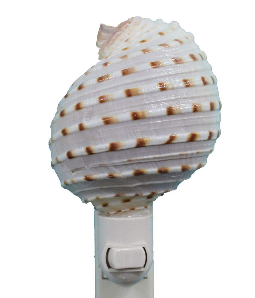 Spotted Tona Shell Night Light - Decorative LED Bedside Lamp for Nursery, Kids Room & Home Decor | Perfect for Bedtime, Relaxation & Creating Cozy Atmosphere