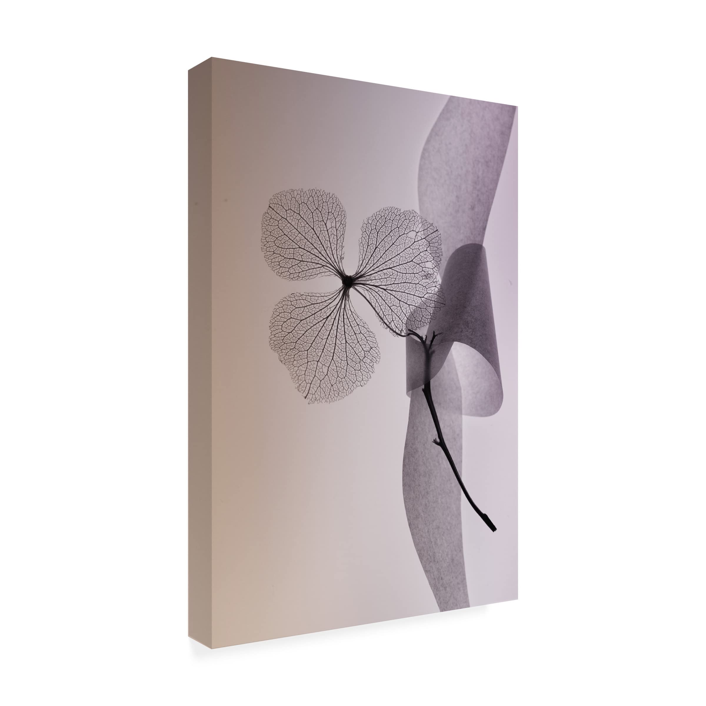 Trademark Fine Art 'Flower' Canvas Wall Art by Shihya Kowatari - Vibrant Floral Painting for Living Room, Bedroom & Office Decor