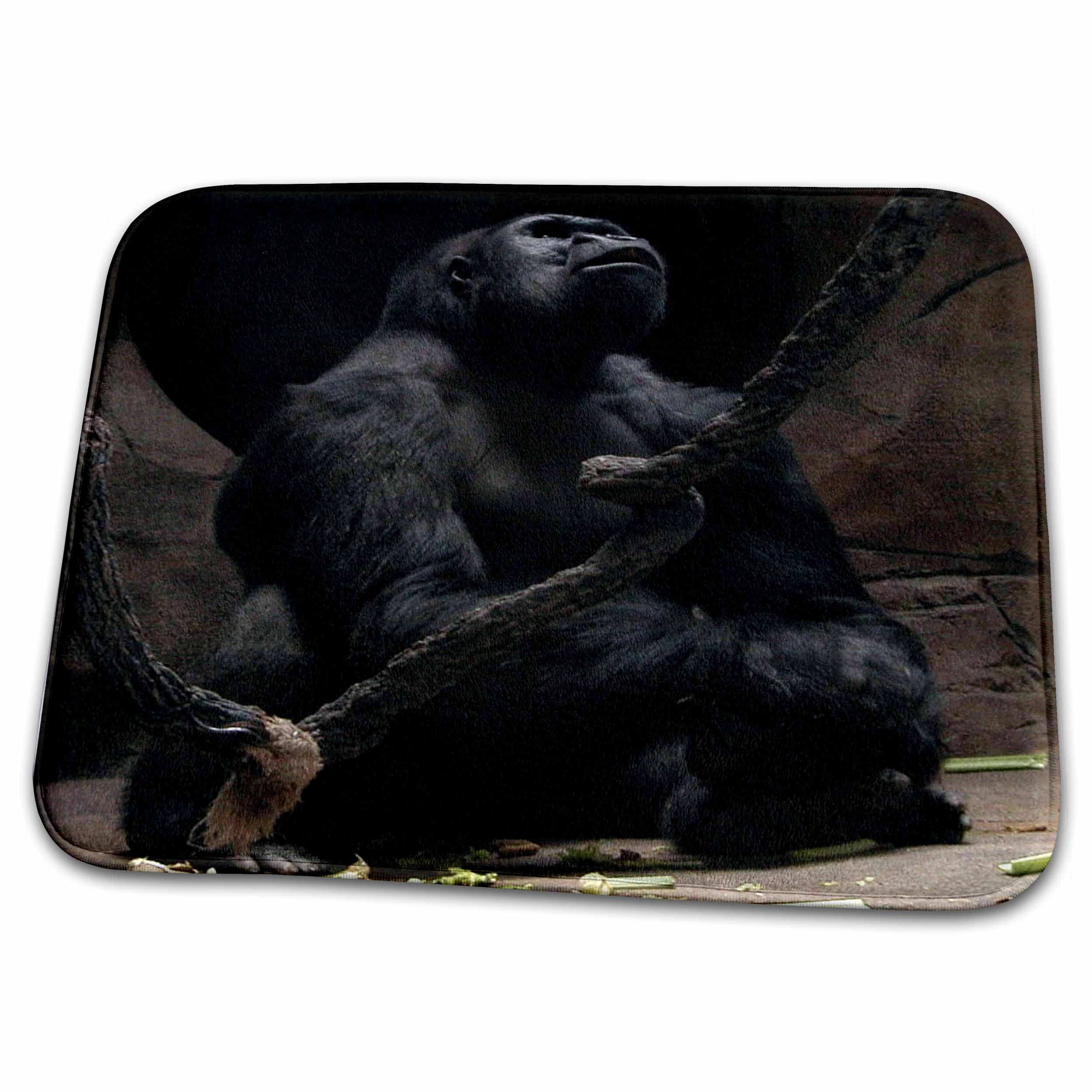 Non-Slip Dish Drying Mat for Kitchen Counter - Gorilla Photography