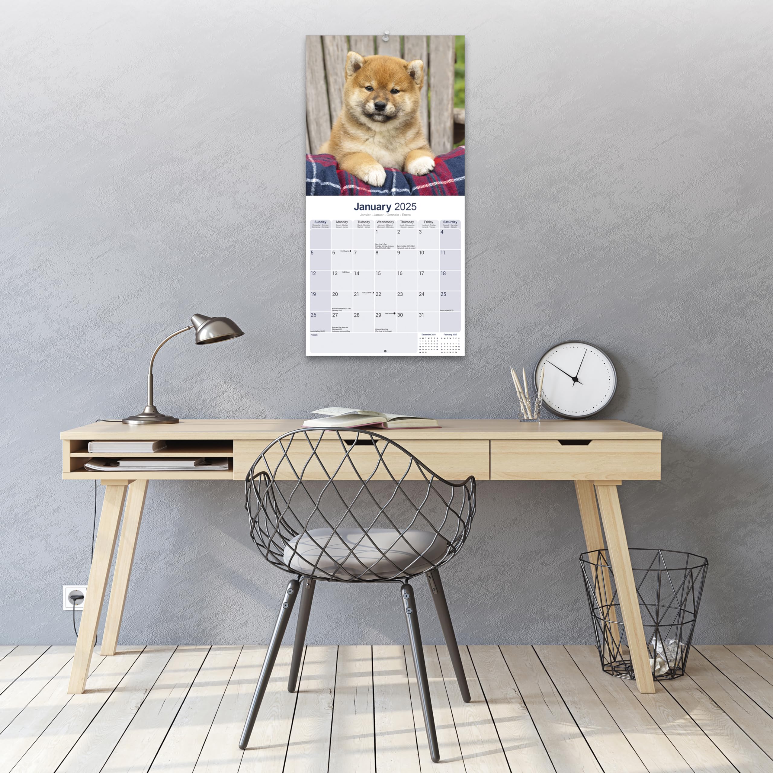 2025 Shiba Inu Dog Breed Wall Calendar - 16 Month Square Planner with Cute Puppy Photos | Perfect for Pet Lovers, Home & Office Decor, Gift Idea for Dog Owners