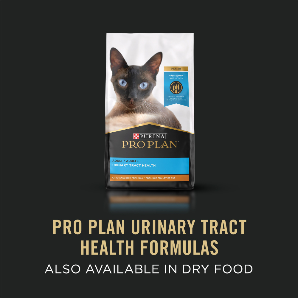 Purina Pro Plan Focus Adult Urinary Tract Health Formula - Ocean Whitefish Entree Canned Cat Food for Cats with Urinary Issues | High Protein Wet Cat Food for Indoor & Outdoor Cats | Supports Kidney & Bladder Health