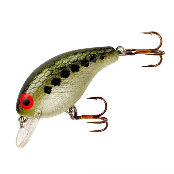 Bass