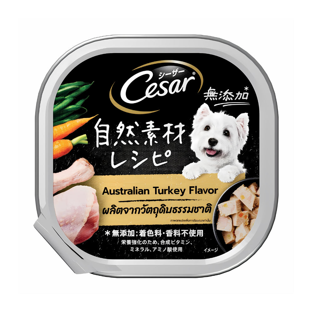Premium Cesar Dog Food Trays - 85g & 100g Wet Food Variety Pack (Beef, Lamb, Chicken, Roast Turkey & Vegetable, Chicken & Cheese) - Delicious Meals for Small & Medium Dogs - Perfect for Travel, Training Rewards & Special Treats