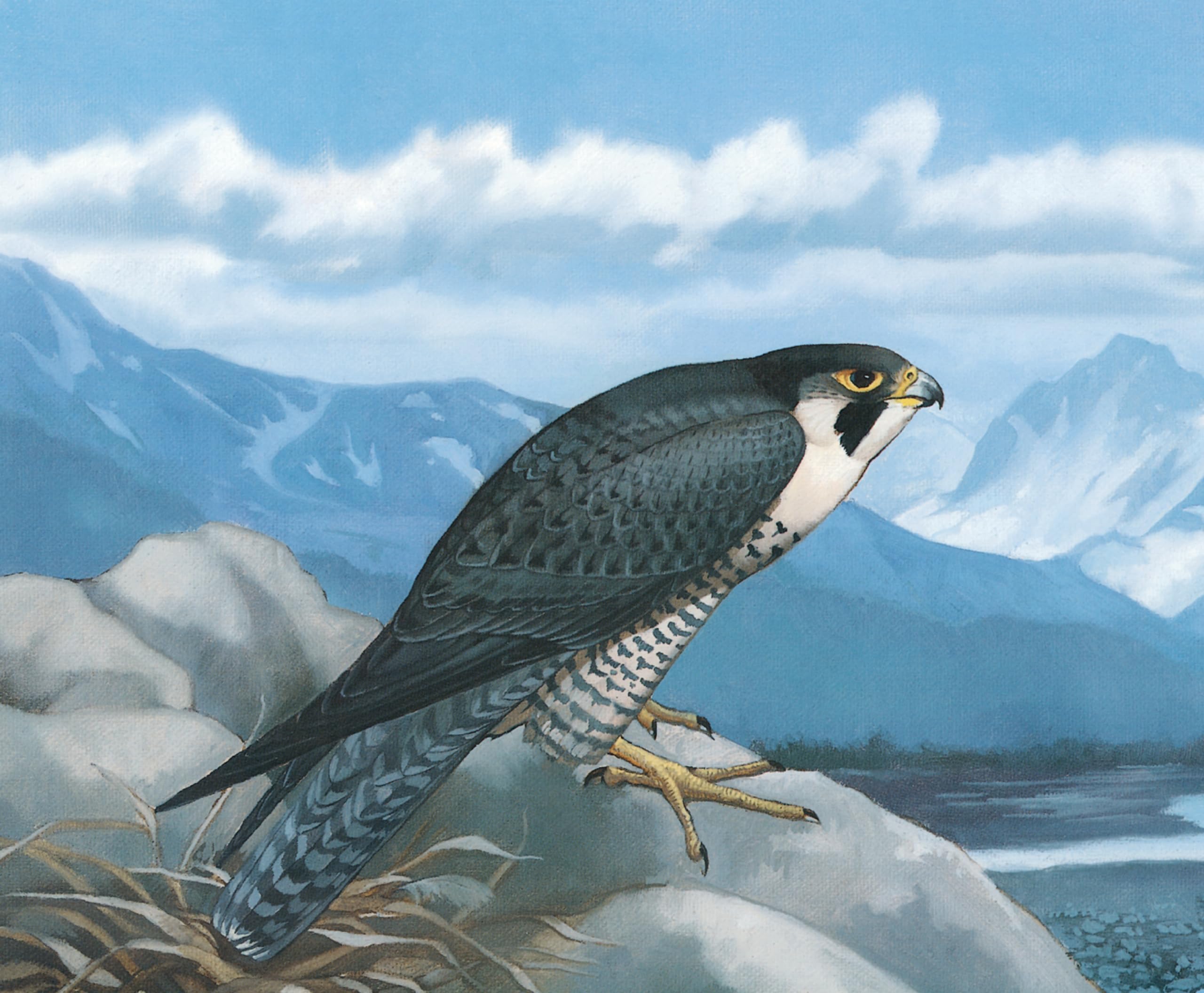 The Peregrine's Journey: A Story of Bird Migration - Perfect for Nature Lovers, Bird Watchers & Educational Reading