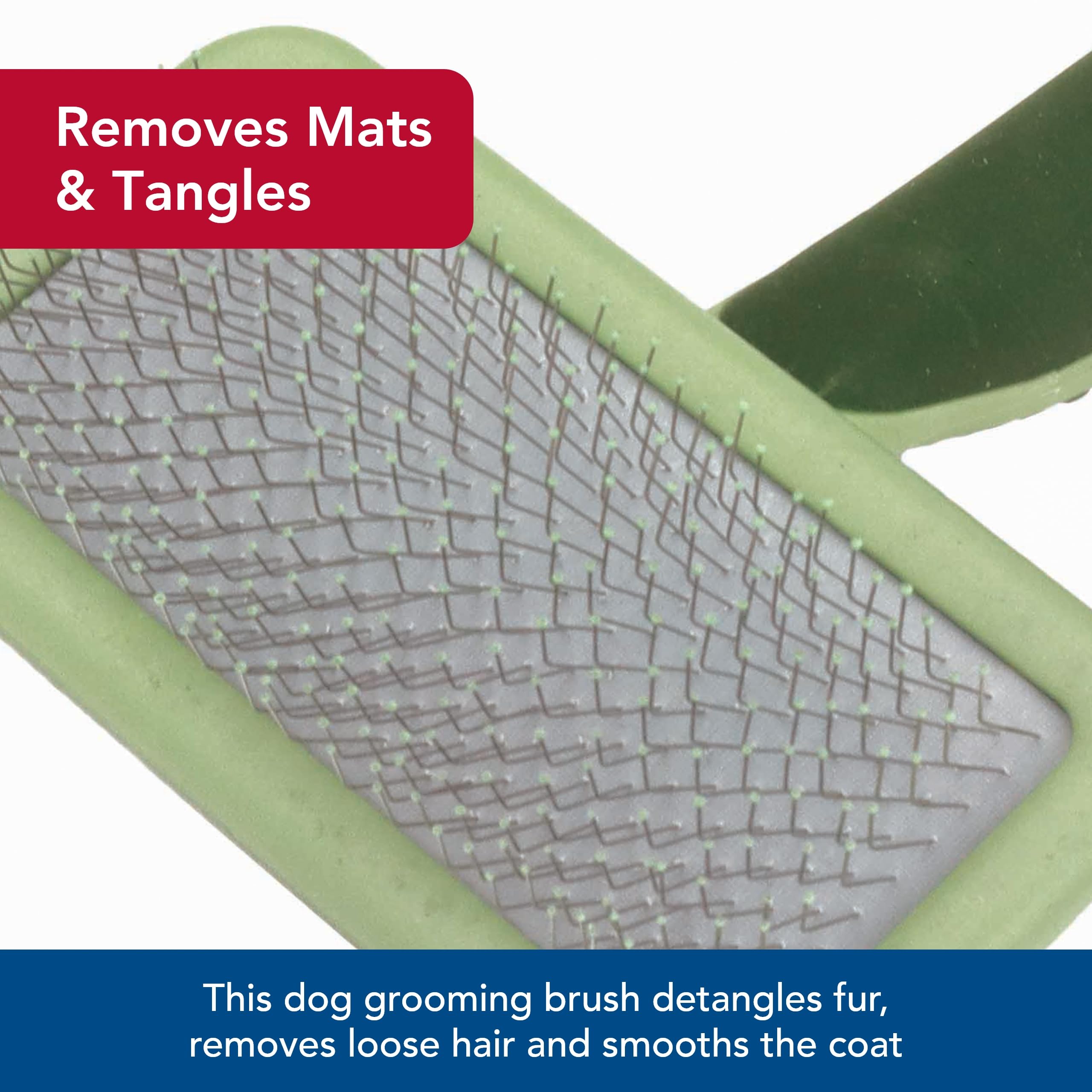 Coastal Pet Safari Dog Soft Slicker Brush - Gentle Grooming Brush for Shedding Control - Works on Short, Medium & Long Hair Dogs - Small Size 6.5