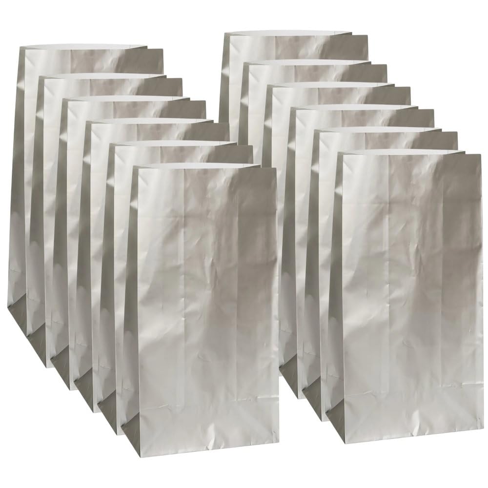 10 Pack Sparkling Silver Metallic Gift Bags | Premium Eco-Friendly Party Favor Bags for Birthdays, Weddings & Special Events | Shimmery Celebration Decorations
