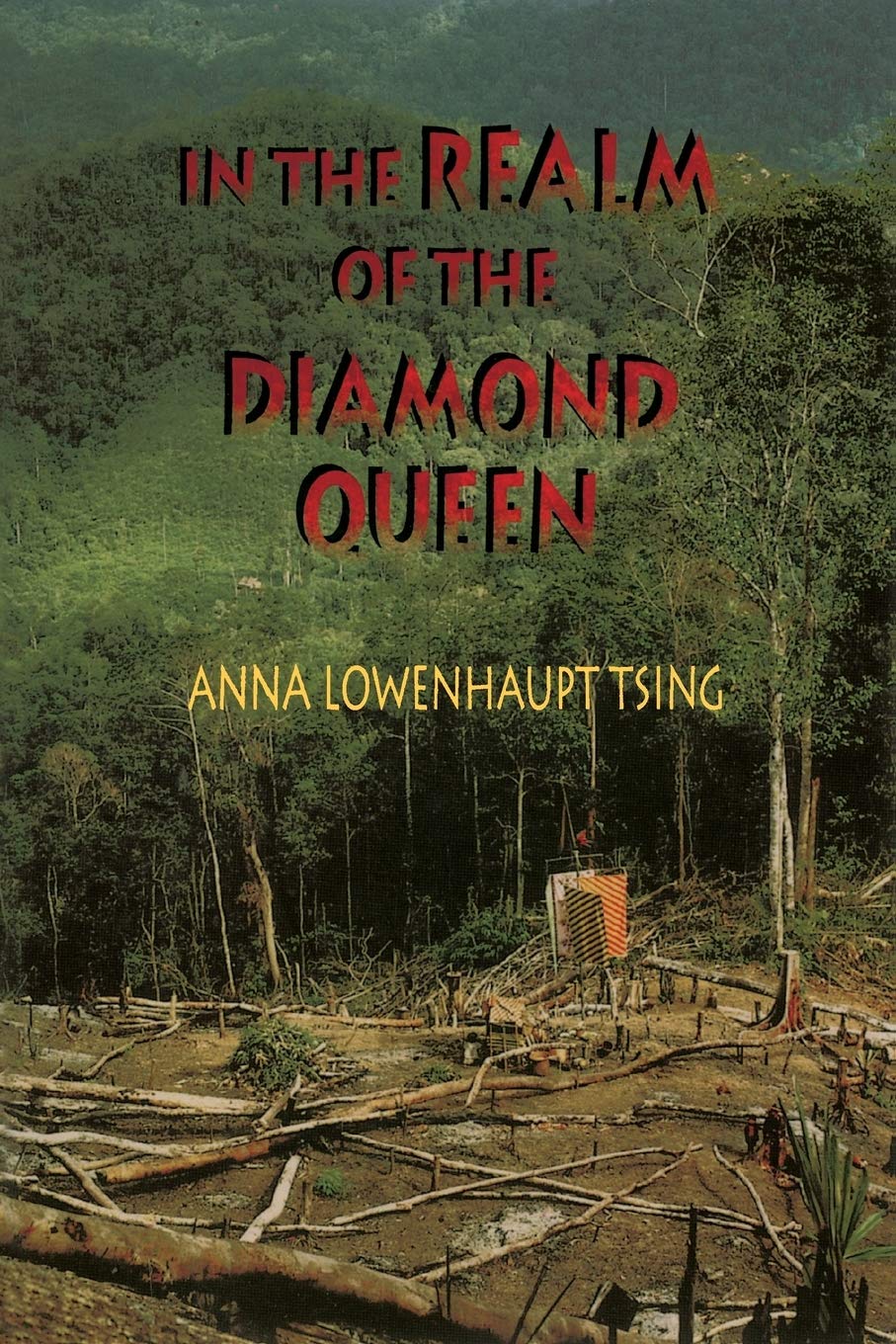Diamond Queen Realm: Exploring Marginality in Remote Places - Perfect for Anthropology & Cultural Studies