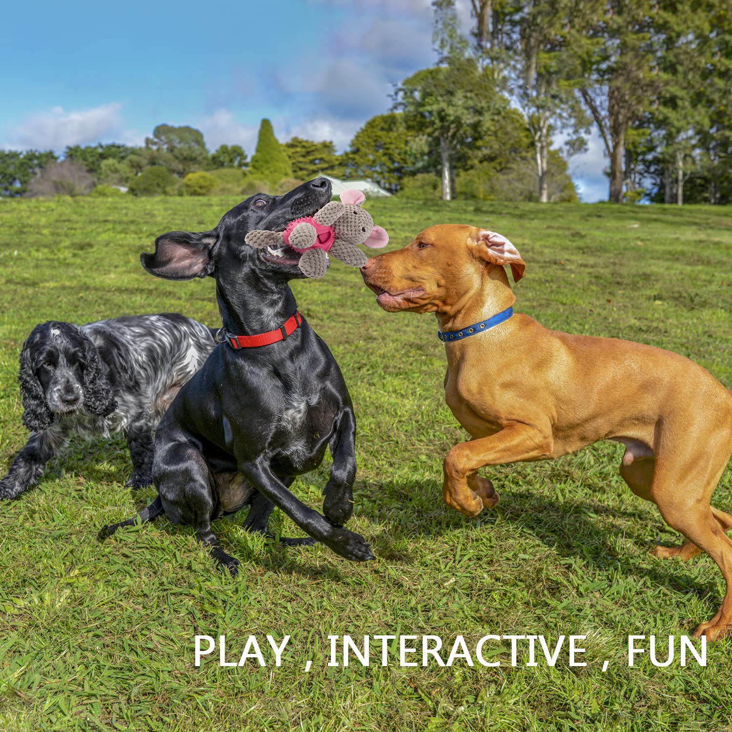 GOOLA Squeaky Dog Toys - Interactive Durable Plush Chew Toys with Squeaker & Crinkle Paper for Puppies & Dogs (Small, Medium, Large) | Natural Rubber Puzzle Food Dispenser Toy | Perfect for Playtime, Training & Teething Relief