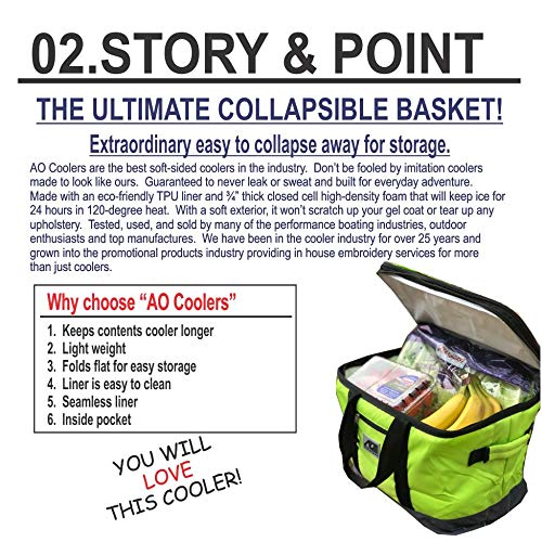 AO Coolers Collapsible Insulated Tote Basket - Portable Picnic Cooler Bag for Beach, Camping, Grocery Shopping & Outdoor Activities