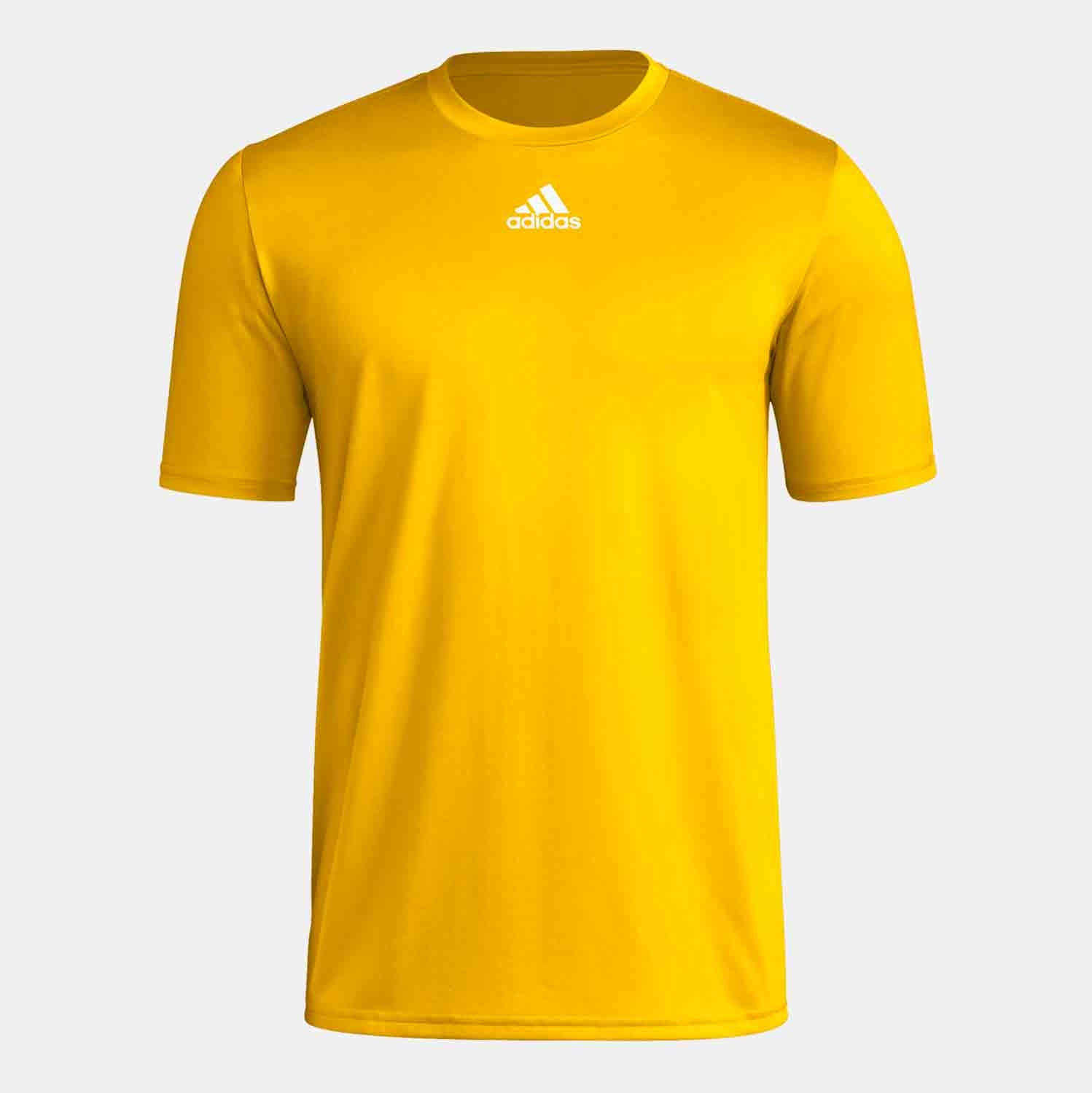 Team College Gold