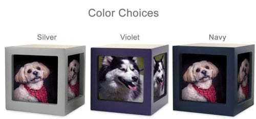 Violet