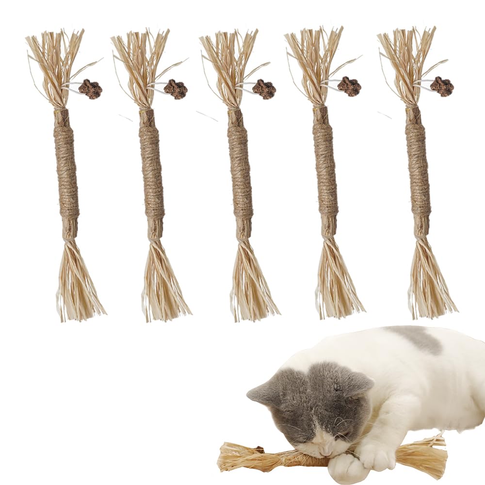 PAZ'S GIFT 5-Pack Natural Silvervine Catnip Sticks & Cat Kick Toys - Interactive Dental Chew Toys for Kittens, Indoor Play to Reduce Obesity & Loneliness | Great for Teething, Playtime & Bonding with Your Cat