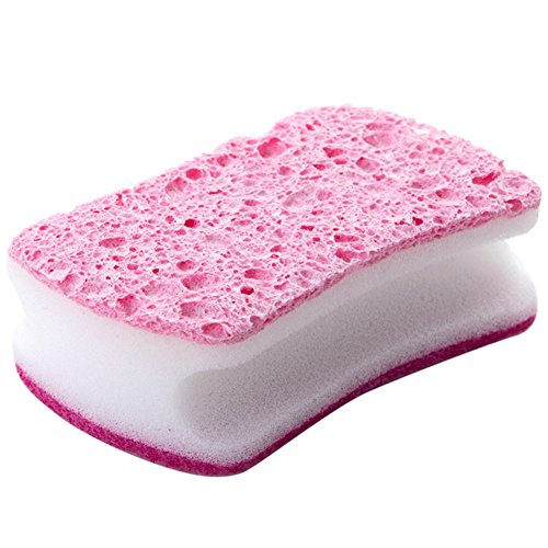 Cleaning Sponges 10