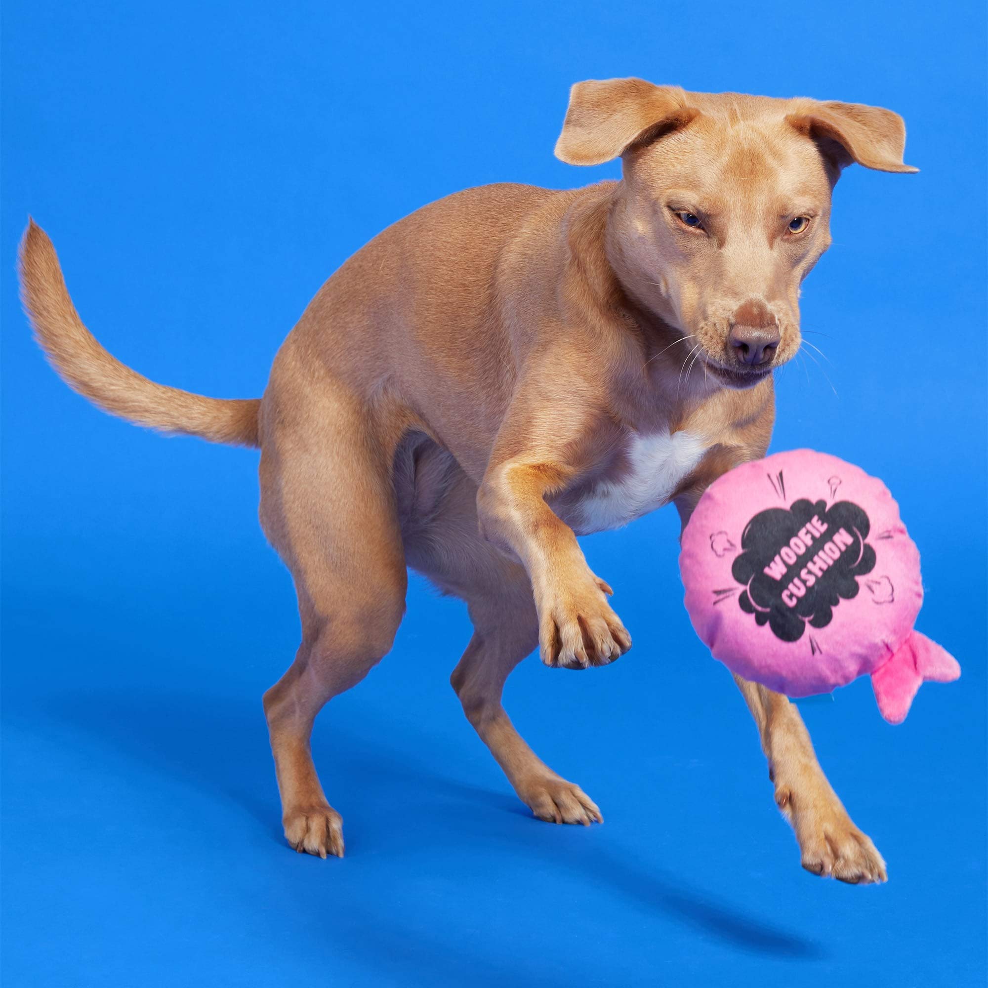 BARK Dog Fart Simulator Toy for Medium Dogs - Funny Noisemaker Prank Gag Gift for Pet Lovers - Perfect for Playtime, Pranks & Dog Parties