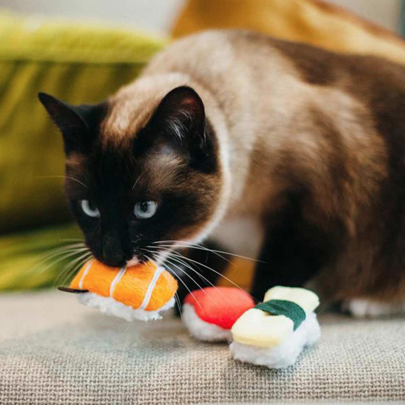 P.L.A.Y Sushi Cat Toys (3 Pack) - Fun Interactive Catnip Toys for Indoor Cats - Perfect for Playtime, Training & Stress Relief