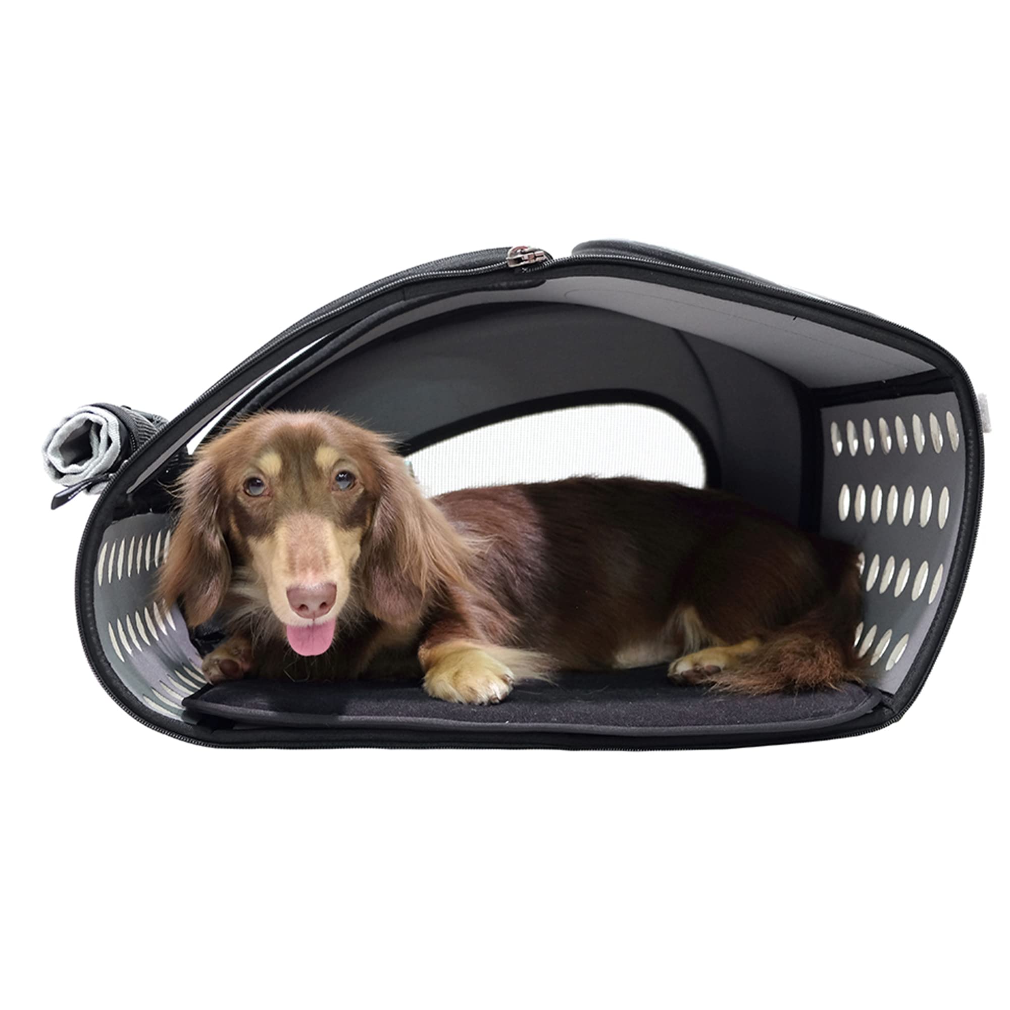 iBiyaya 5-in-1 Convertible Pet Carrier & Stroller for Small Dogs & Cats Under 16lbs - Foldable Travel Carrier, Lightweight Stroller Combo - Perfect for Vet Visits, Shopping & Outdoor Adventures (Blue)