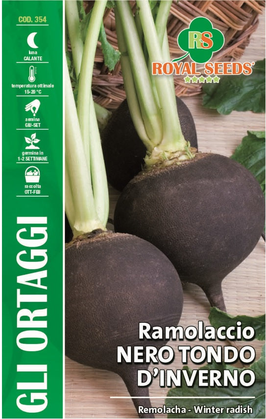 Royal Seed RYMO114/2 Winter Black Radish Seeds - Premium Heirloom Variety for Home Gardening, Organic Vegetable Planting - Perfect for Salads, Soups, and Asian Cuisine