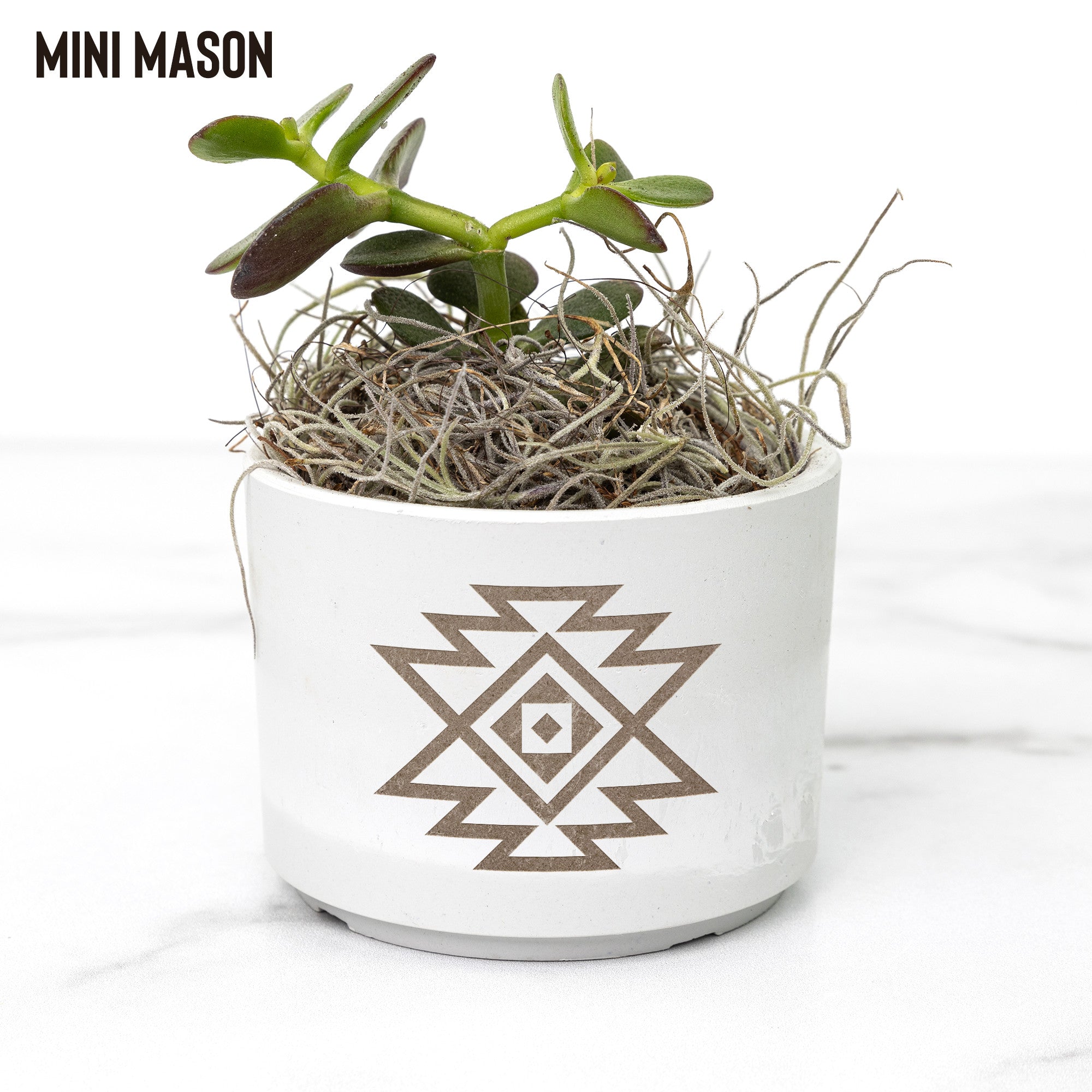 Southwestern Planter with Live Desk Plant - Choose from 3 Colors & 3 Plant Types for Office, Home Decor or Gift Idea