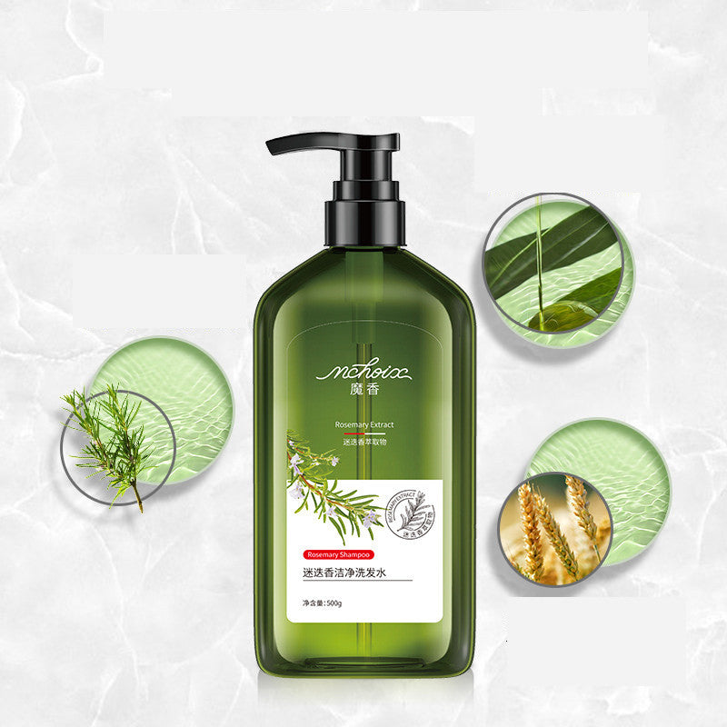 Rosemary Shampoo & Body Wash for Hair Care - Refreshing & Oil Control Formula | Hydrating Hair & Skin Cleanser for Daily Use at Home or Gym