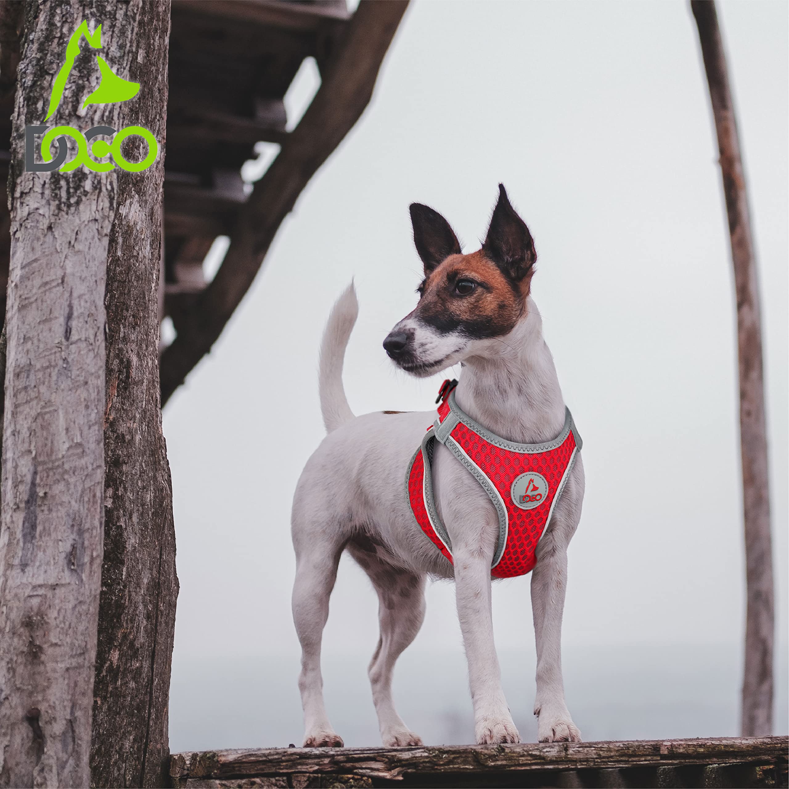 DOCO Dog Harness for Small Dogs Under 30 lbs - Lightweight No-Pull Vest with Reflective Strips, Adjustable Puppy Harness for Walking & Training | Perfect for Outdoor Adventures, Jogging & Nighttime Safety (Lime Green, X-Small)
