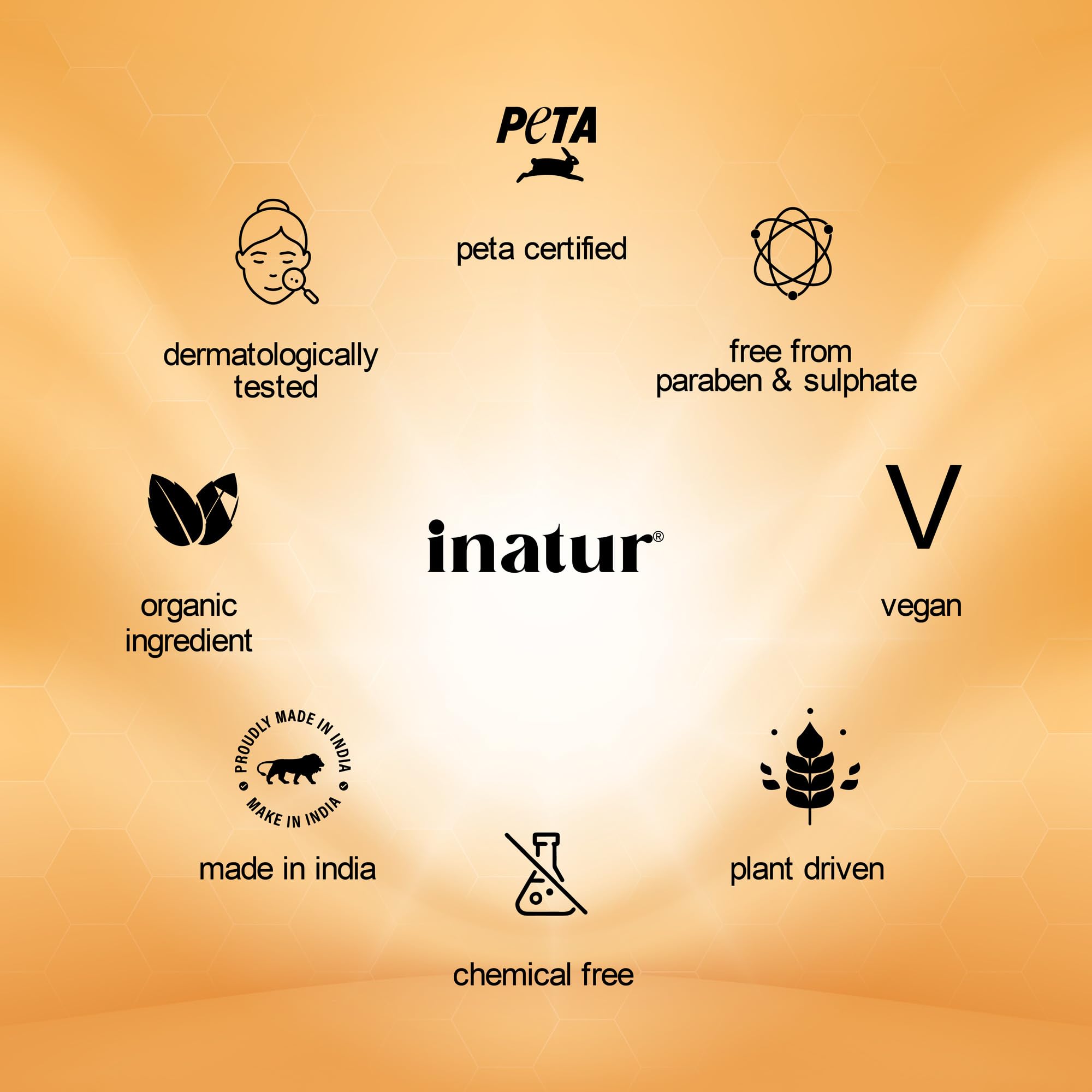 inatur Argan Oil Hair Cream for Frizzy Hair - Daily Styling & Frizz Control | Natural Vegan Hair Cream for Women & Men | Smooths & Nourishes Dry Damaged Hair | Perfect for Daily Use at Home, Work or Travel | 100g