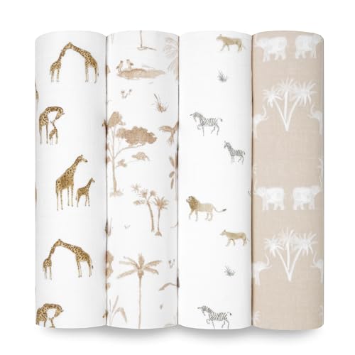 Safari Dreams