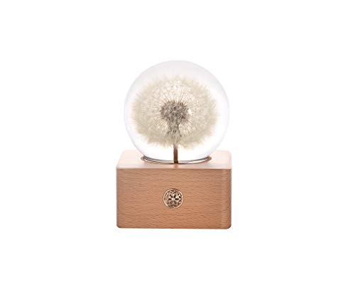1-dandelion