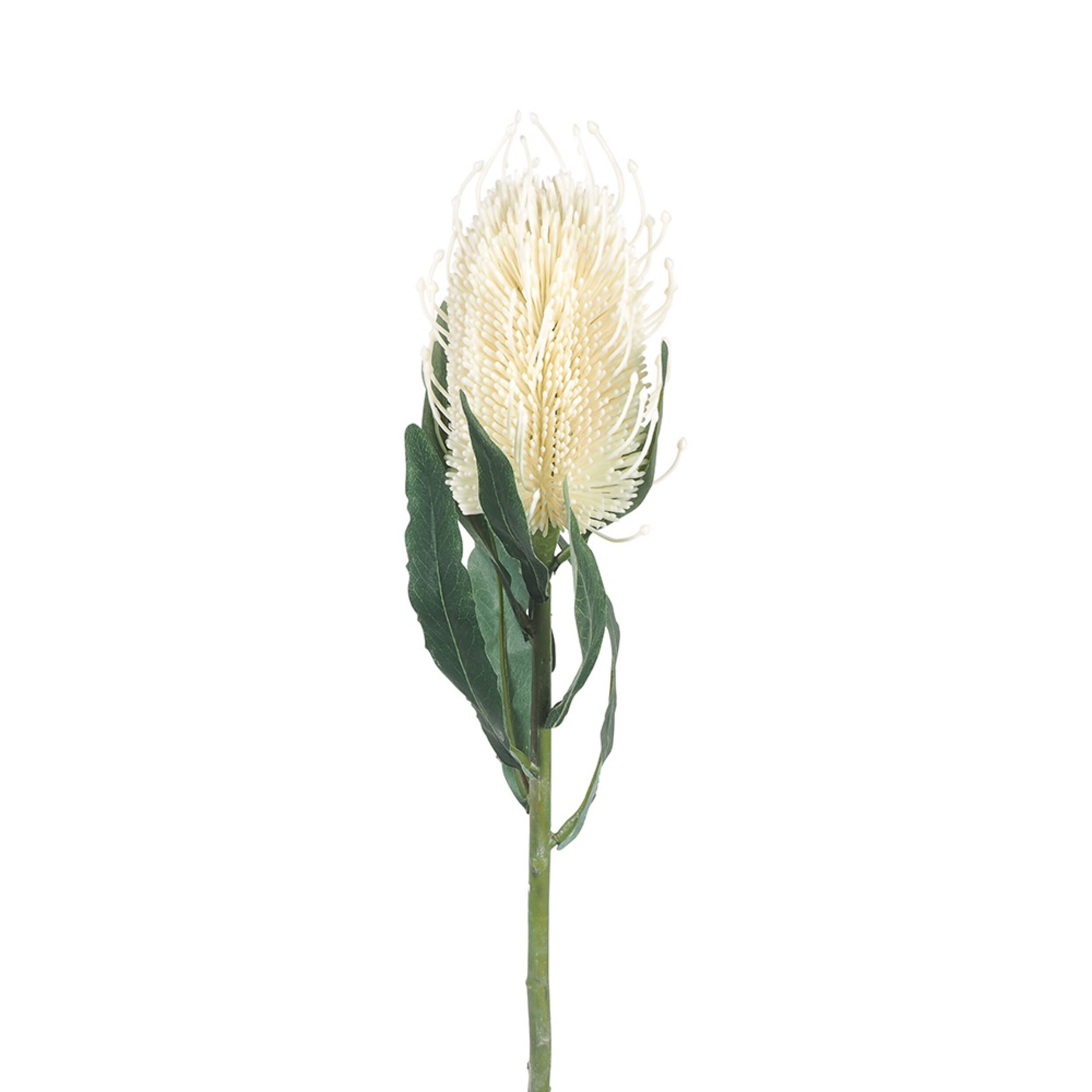 61cm Acacia White Banksia Artificial Flower - Realistic Fake Plant for Home Decor, Wedding Centerpieces, and Office Arrangements