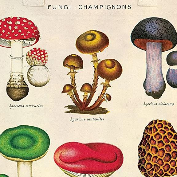 Eco-Friendly Mushroom Print Canvas Tote Bag - Large Reusable Grocery Shopping Bag for Women & Men - Perfect for Farmers Market, Beach & Daily Use