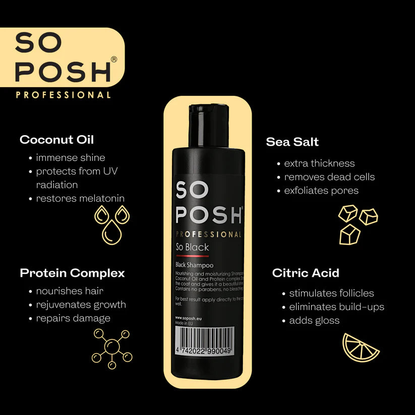 So Posh So Black Shampoo for Dark Hair - Volumizing & Color Protection (8oz & 16oz) - Perfect for Daily Use & Salon-Quality Results at Home