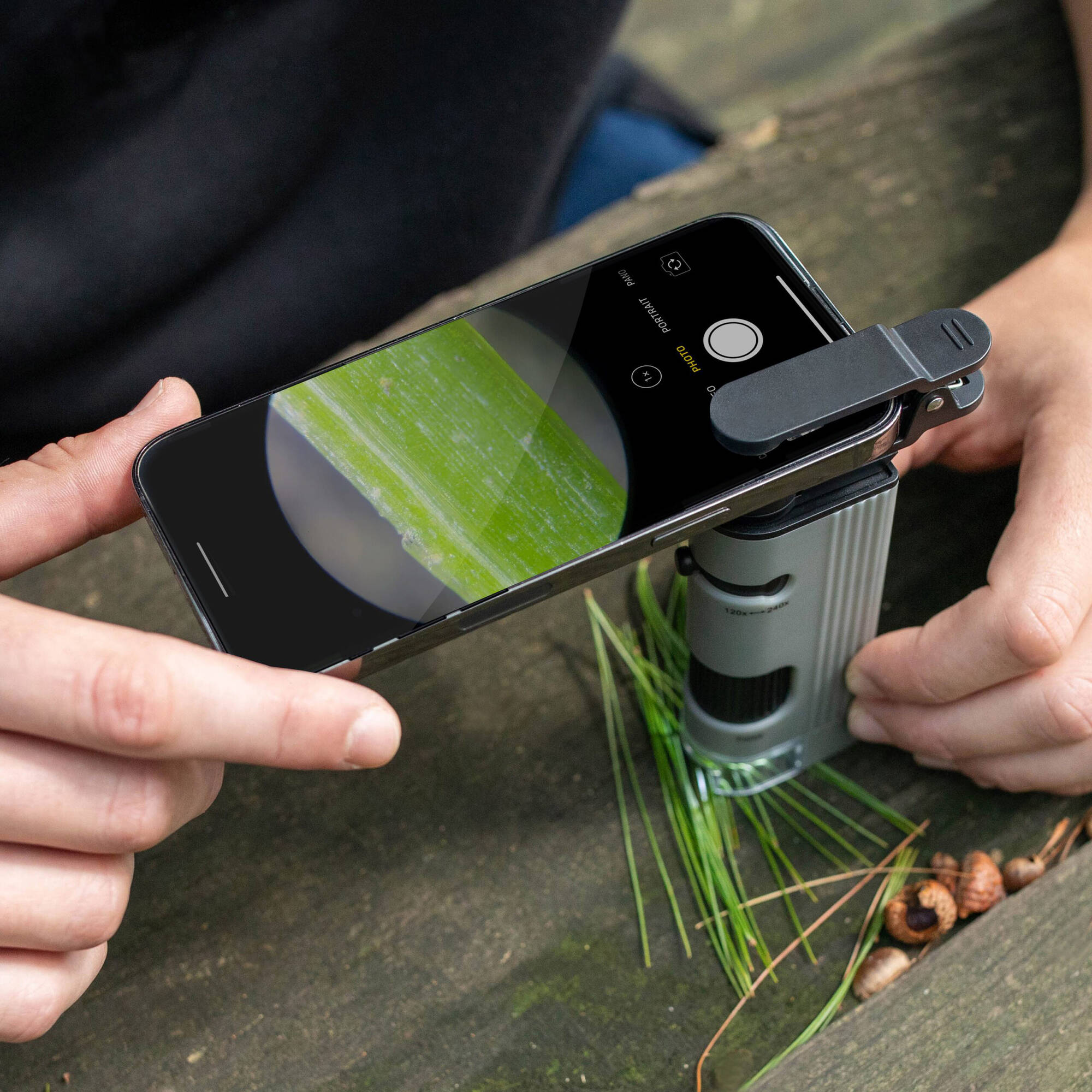 Carson MicroPic 120 240x Pocket Microscope with Smartphone Adapter - Portable Magnifier for Science, Coin & Stamp Collecting, Jewelry Inspection & Outdoor Exploration