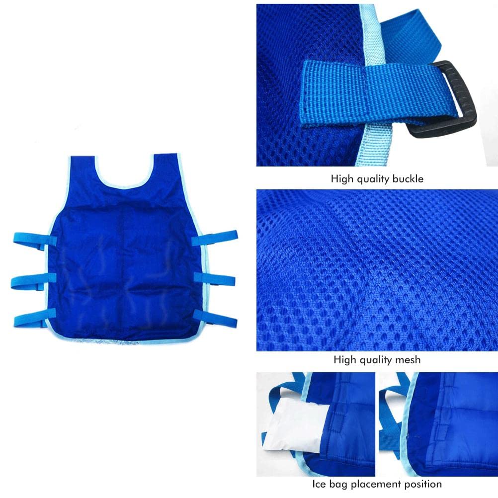 Cooling Vest with Ice Packs for Men & Women - Breathable Summer Cooling Shirt for Hot Weather, Outdoor Sports & Work - Includes 24 Removable Ice Packs (Perfect for Construction, Hiking, Running & Heat Relief)