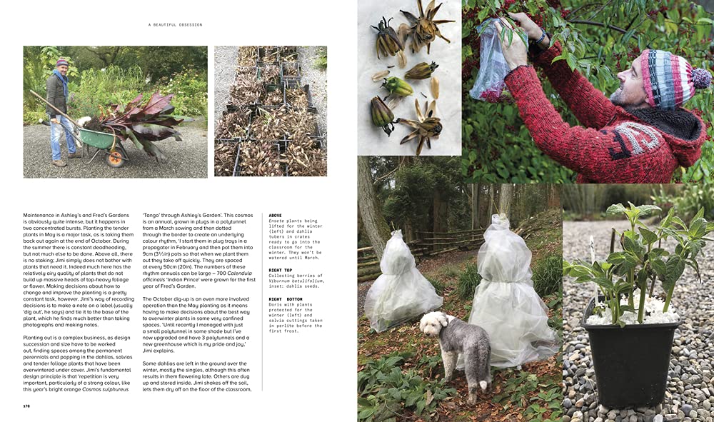 Beautiful Obsession: Jimi Blake's World of Plants at Hunting Brook Gardens - Gardening Inspiration & Rare Plant Collection for Home & Landscape Design