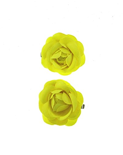 Yellow,Rose