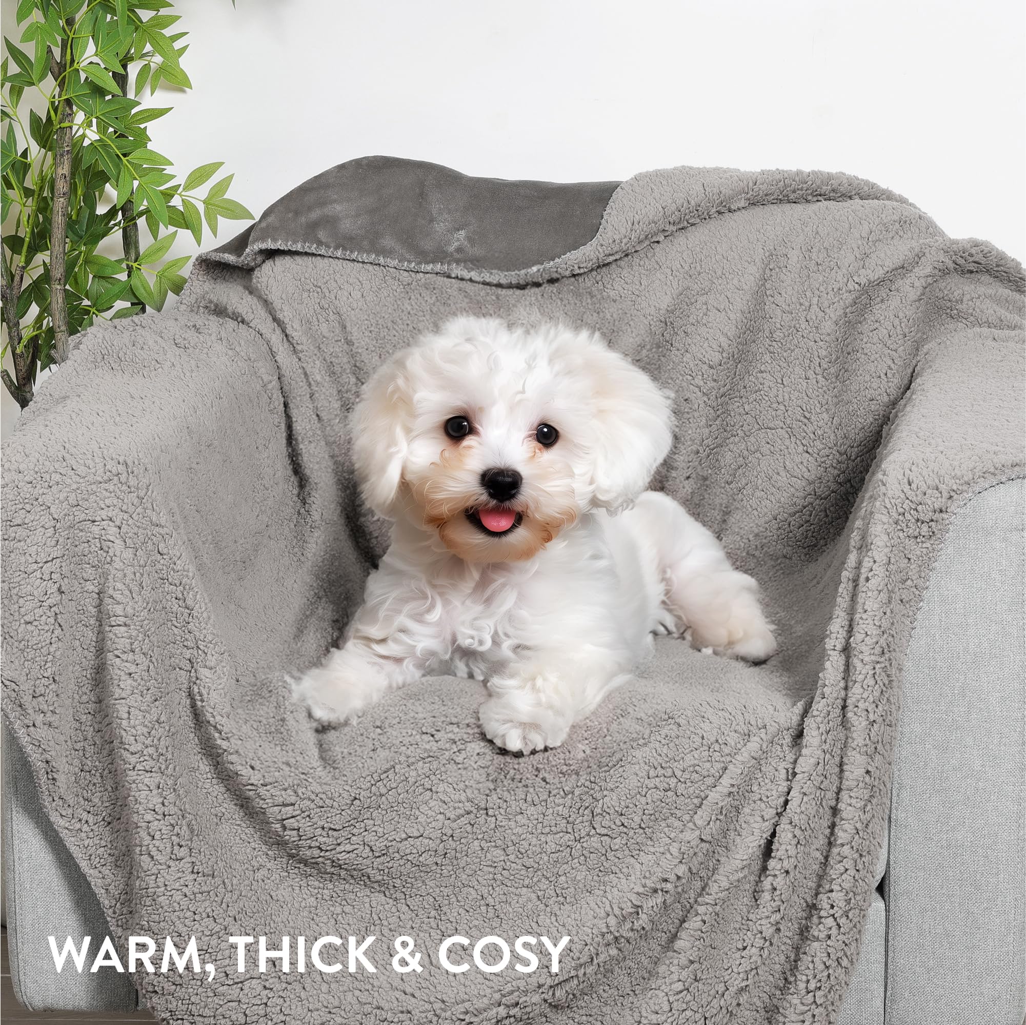 Premium Sherpa Fleece Blanket 55