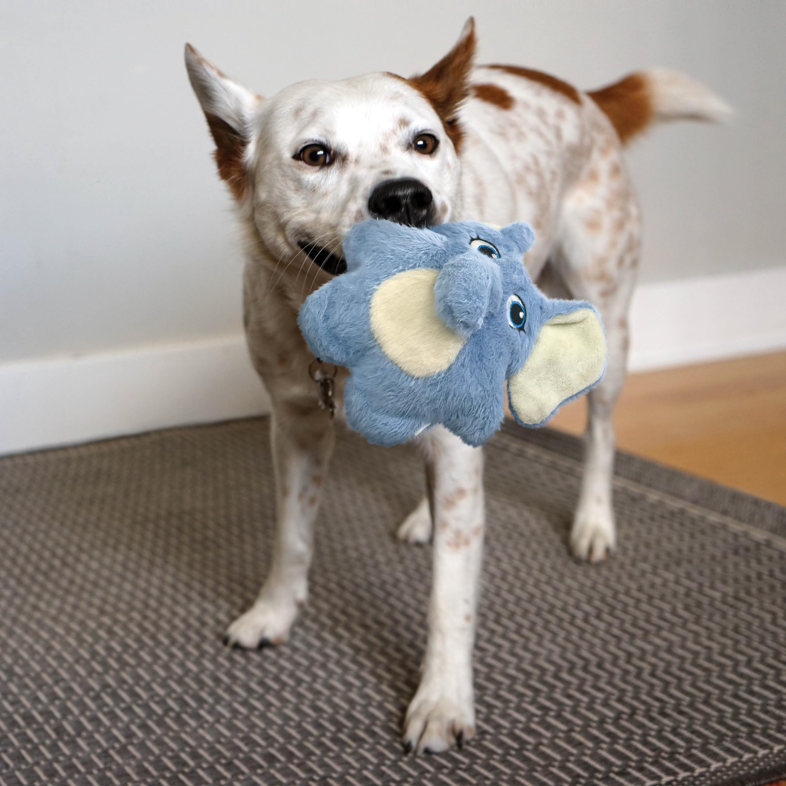 KONG Snuzzles Kiddos Dog Toy - Soft Plush Elephant Chew Toy for Small & Medium Dogs | Durable & Cuddly Pet Toy for Puppies | Perfect for Teething, Playtime & Comfort (Model 38749848)