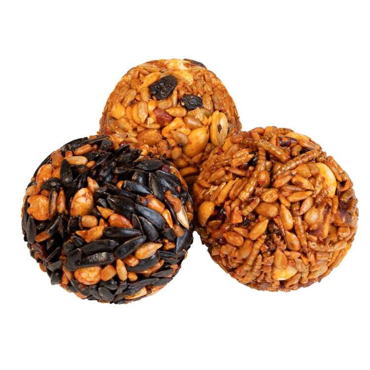 Sizzling Seed Ball Variety Pack - 18 Assorted Seed Balls for Gardening | Perfect for Home Gardens, Balcony Planters & DIY Planting Projects