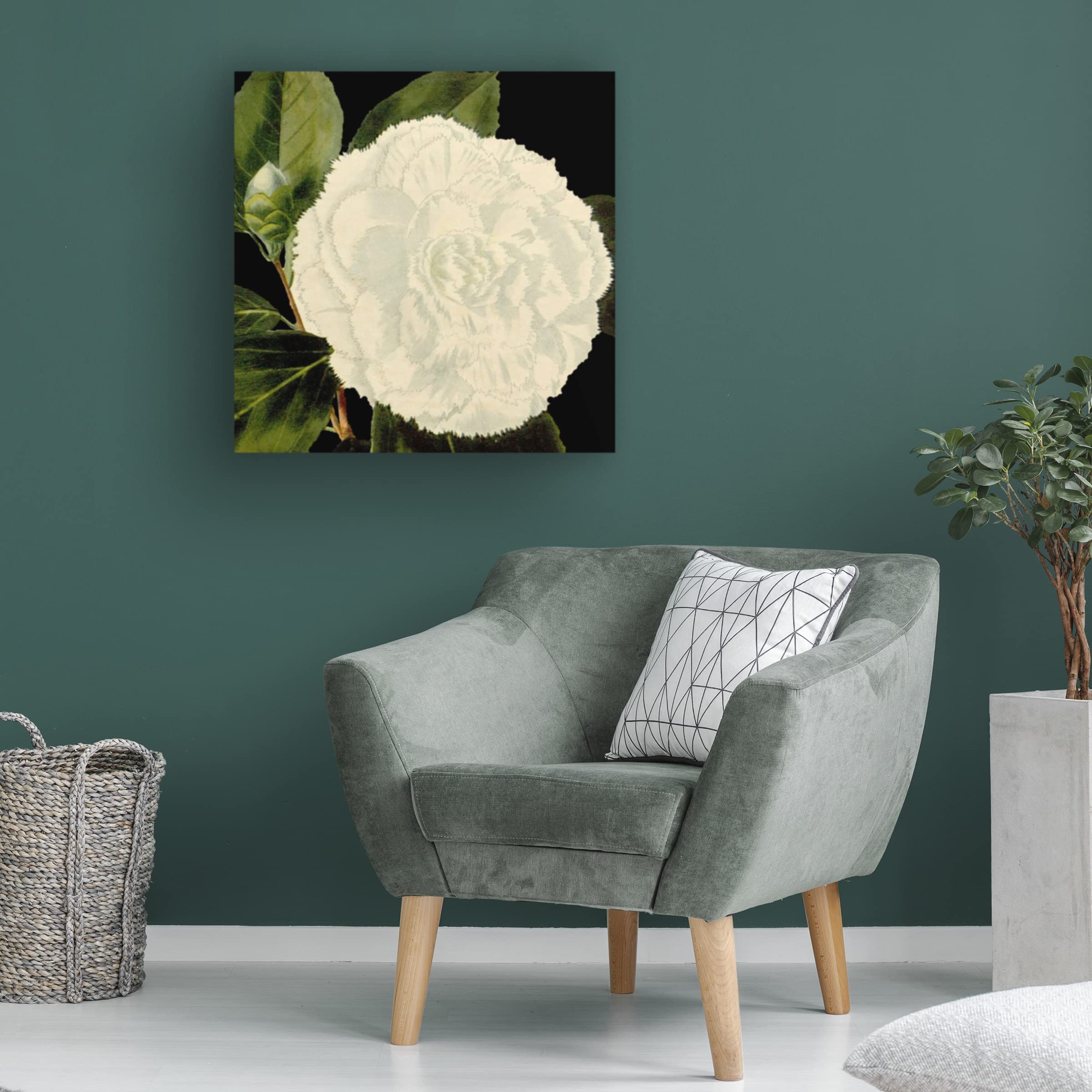 Trademark Fine Art 'Dramatic Camellia IV' Floral Canvas Wall Art Print by Vision Studio - Perfect for Living Room, Bedroom & Office Decor