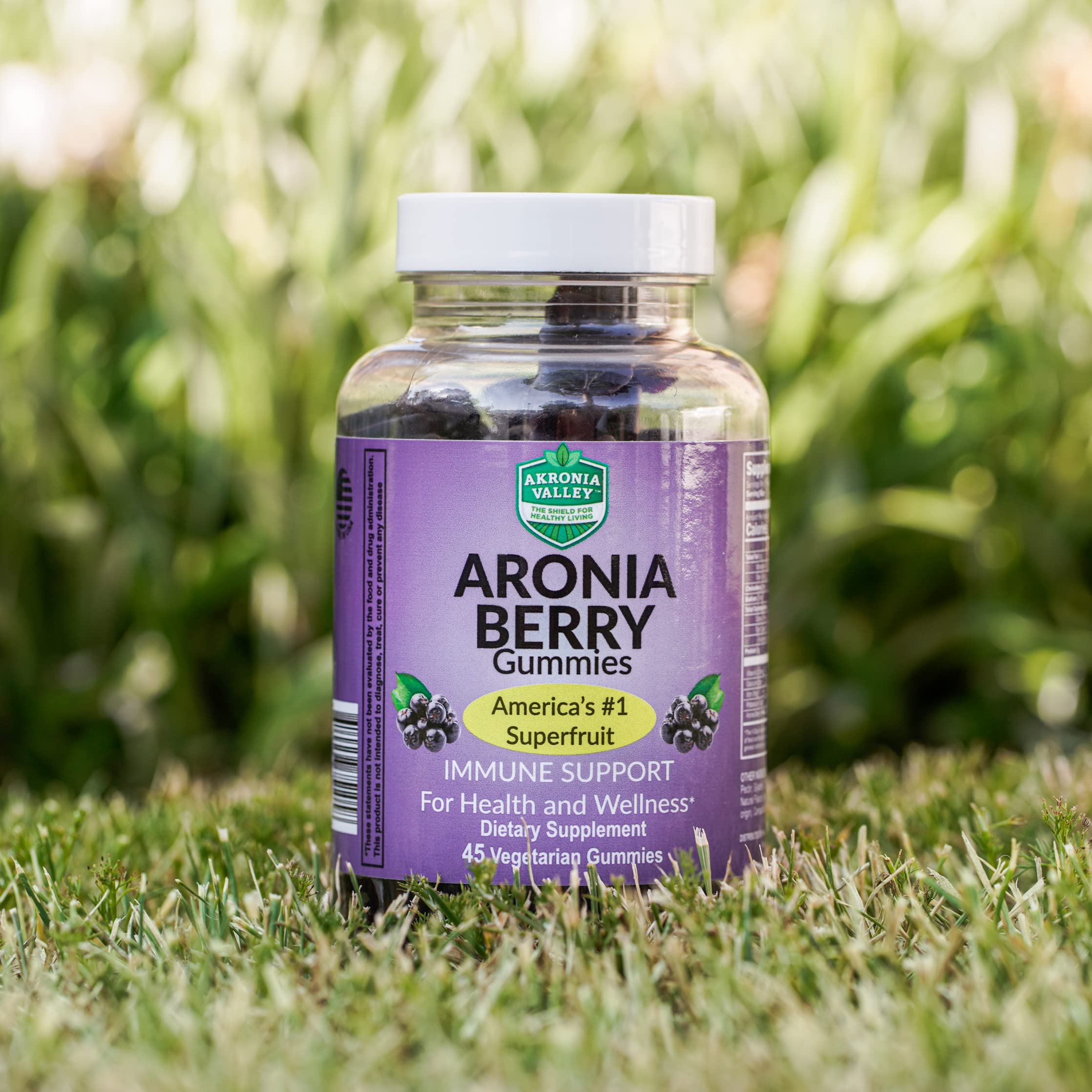 Akronia Valley Aronia Berry Gummies - 45 Vegetarian Immune Support Gummies for Health & Wellness | Delicious Antioxidant-Rich Superfruit Flavor | Perfect for Daily Immunity Boost & On-the-Go Nutrition