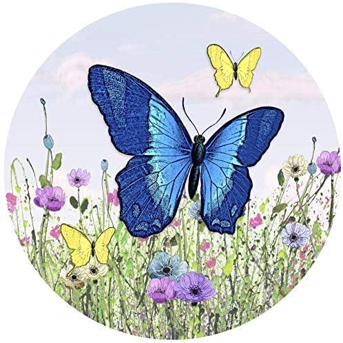 Butterfly Blue