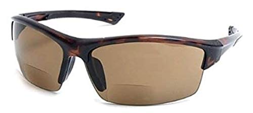 1 Pair Tortoise