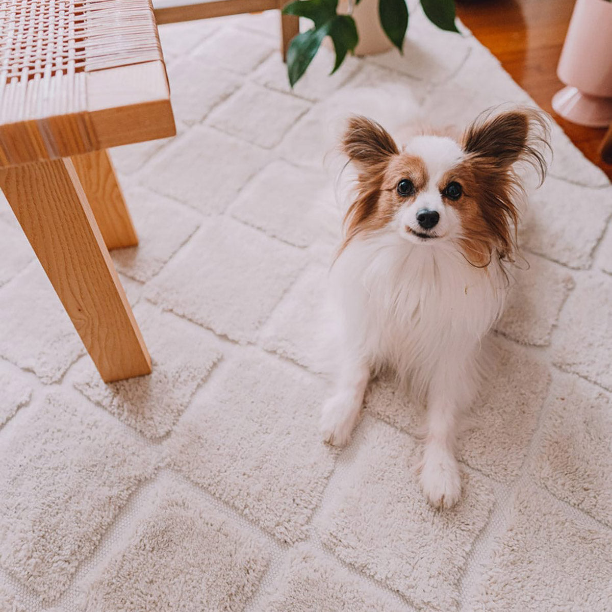 Luxury GIA Certified Diamond Tribal PET Shag Rug - Soft & Plush Eco-Friendly Faux Fur Carpet for Living Room, Bedroom, Nursery - Perfect for Cozy Home Decor & Pet-Friendly Spaces