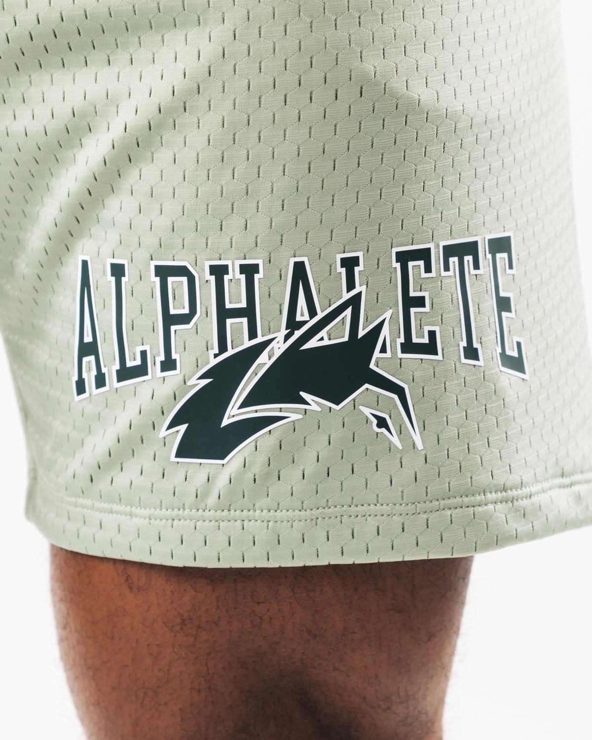 Wolf Head Mesh Short 6 - Breathable Athletic Shorts for Men, Sage Green - Perfect for Running, Gym Workouts & Outdoor Sports