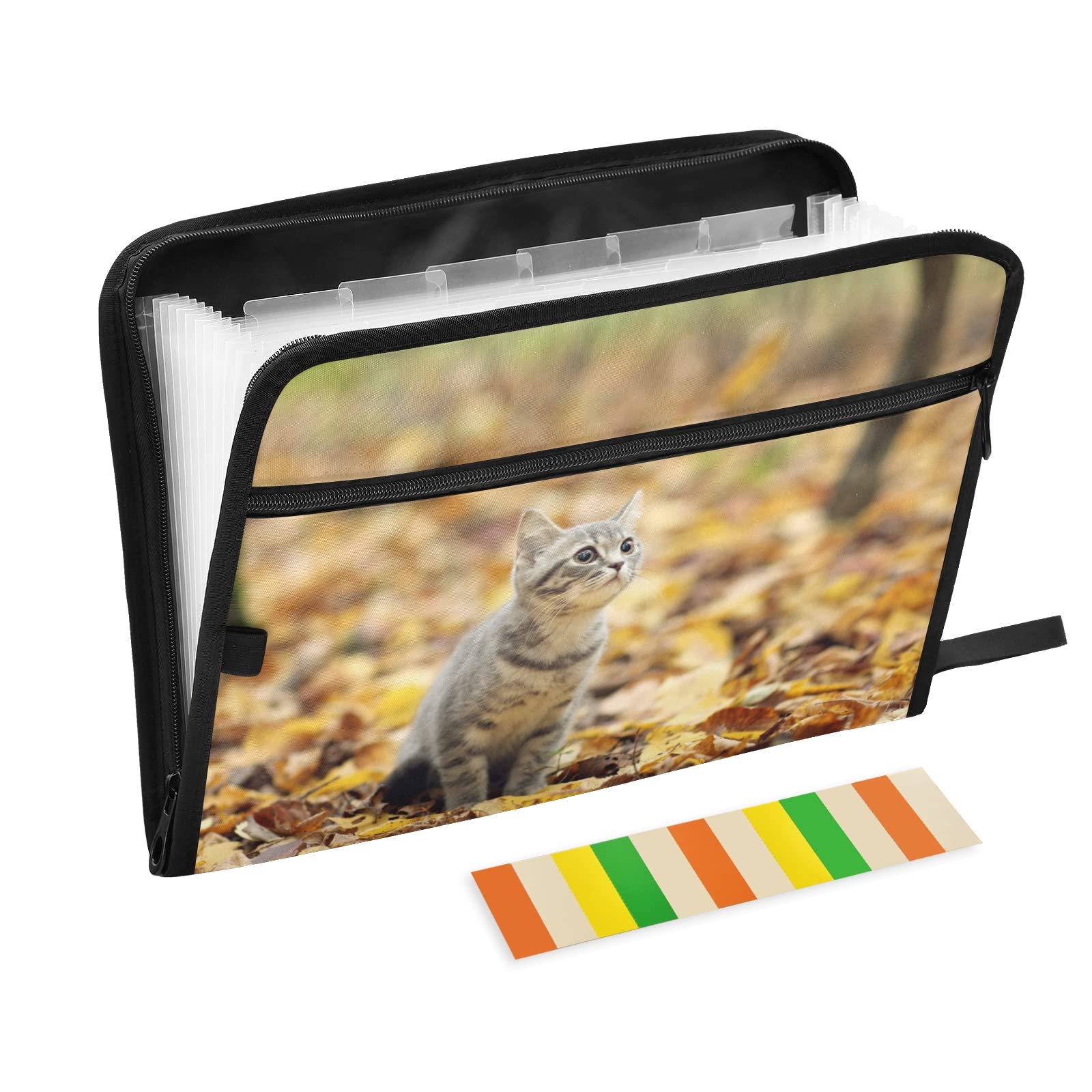 UMIRIKO 13-Pocket Expanding File Folder with Sticky Labels - A4 Letter Size Accordion Document Organizer with Zipper Closure - Perfect for Office, School, and Home Organization (20220432)