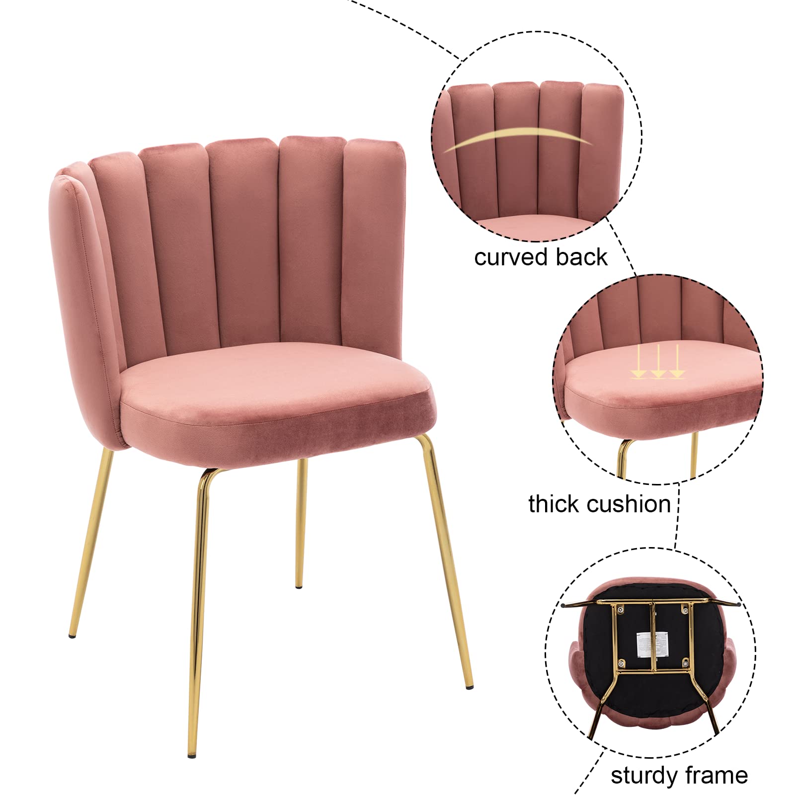 Luxury Velvet Dining Chairs Set of 2 - Modern Upholstered Accent Chairs with Curved Back & Gold Metal Legs for Living Room, Kitchen, Bedroom, Vanity | Comfy Pink Seating for Home Decor & Entertaining